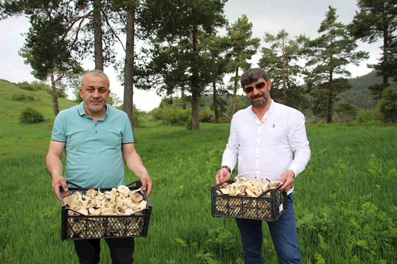 Erzurum’da vatandaşlara 