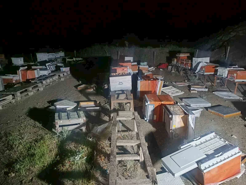 Arı kovanları cayır cayır yandı
