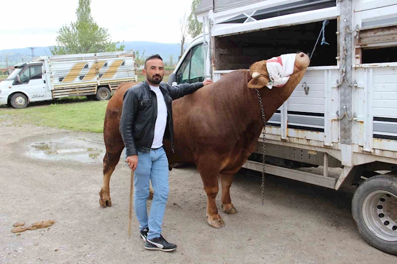 1 ton 150 kilogram ağırlığındaki 
