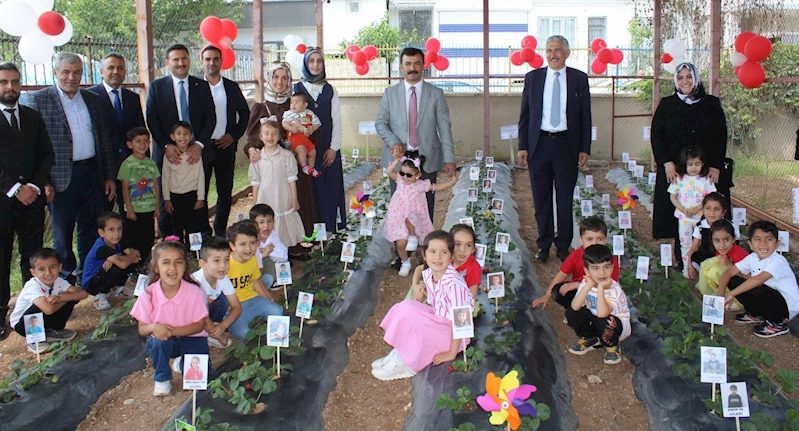 Kahta’da miniklerden çilek hasadı
