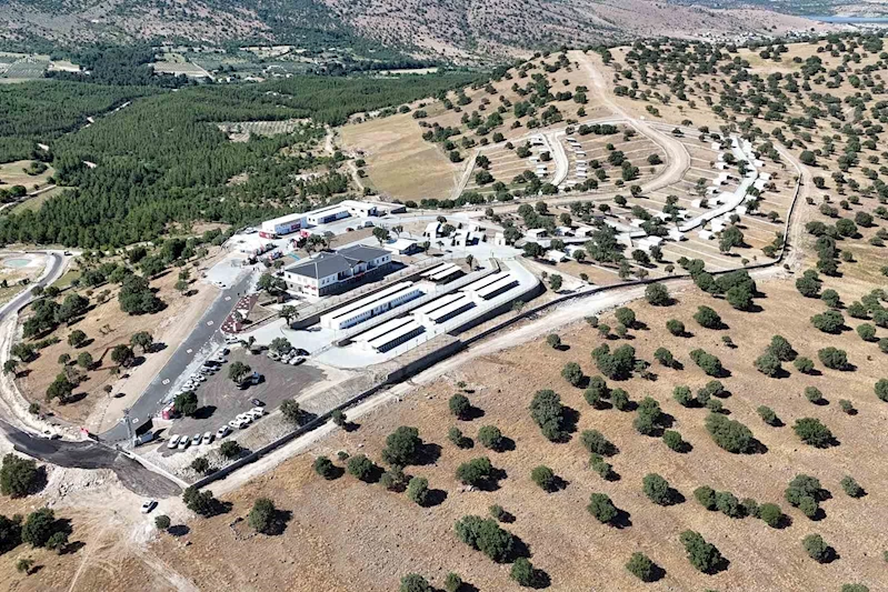 Manisa’da sokak hayvanları için örnek proje hayata geçti
