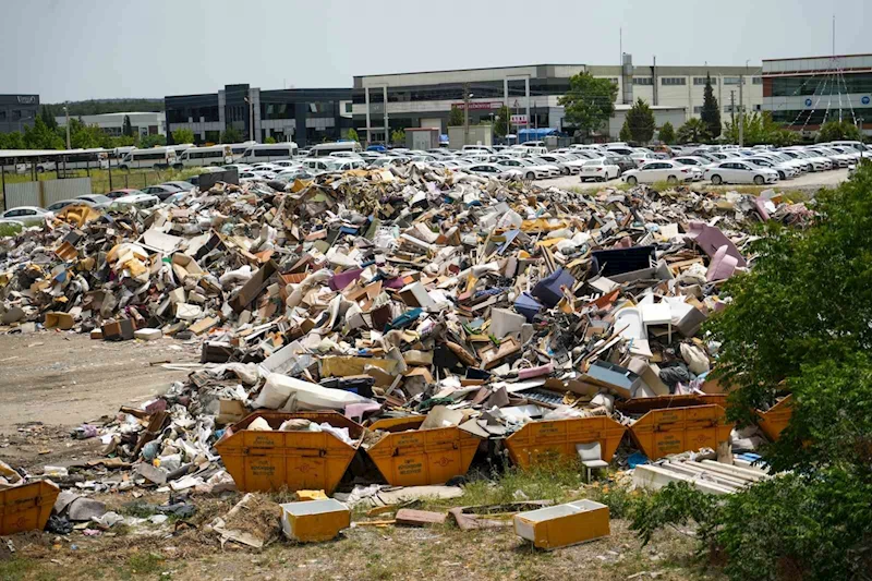 İzmir’in göbeğinde çöp alanından ürküten görüntü
