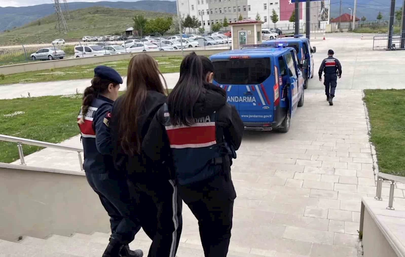 Sahte araç kiralama siteleriyle 160 milyon TL vurgun yapan çeteye 5 ilde operasyon: 19 gözaltı
