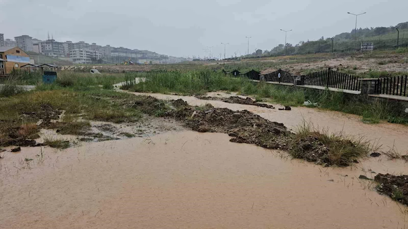 Bandırma sağanakla yüzleşti, Malta Deresi projesi gündeme geldi
