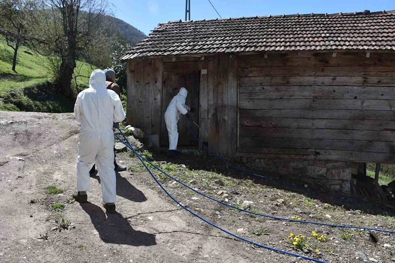 Çiftçinin korkulu rüyası kahverengi kokarca böceğine ilaçlı önlem

