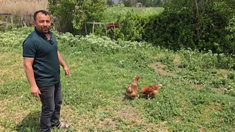 Bahçesine giren tilkiye böyle seslendi: 