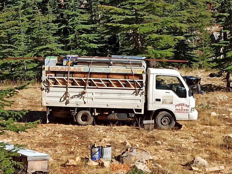 Gazipaşa’da arıcıların yayla mesaisi başlıyor
