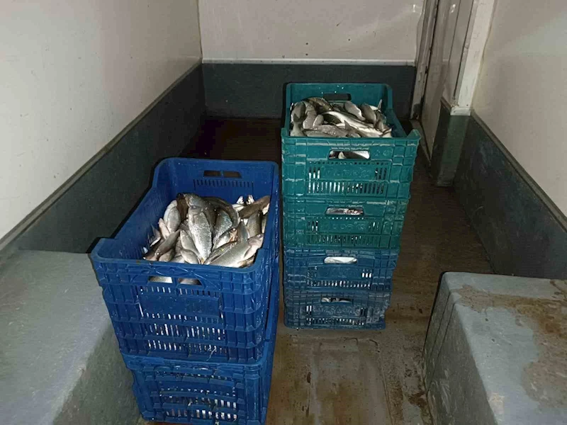 İznik Gölü’nde kaçak avcılığa jandarma operasyonu
