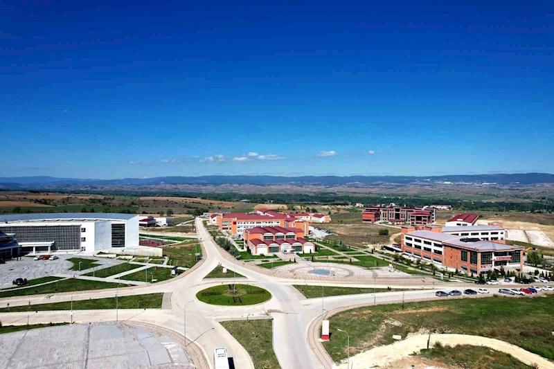Kastamonu Üniversitesi’nde hayvansal ilaçlardaki mikroplastik tehlikesi araştırılacak
