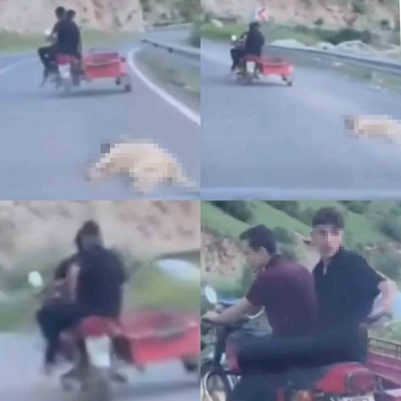 Telef olan köpeği sürükleyen şahsa 50 bin TL  ceza
