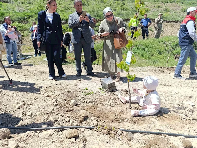 Yeni doğan bebekler hatıra ormanına ilk fidanlar dikildi
