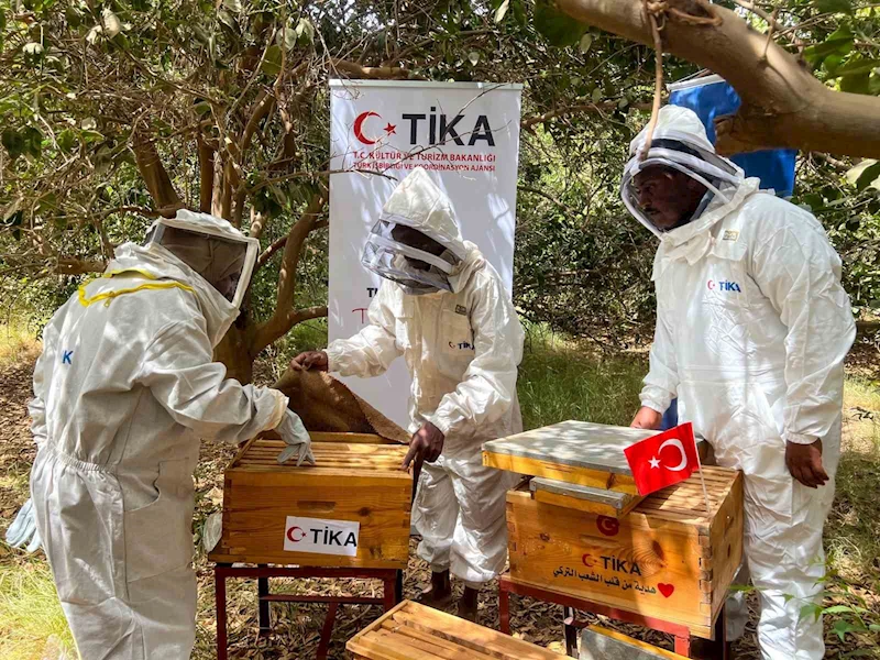 TİKA’dan Sudan’da arıcılığa destek
