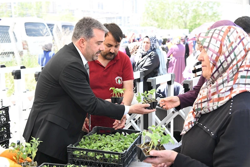 Pursaklar’da yerli tohuma destek
