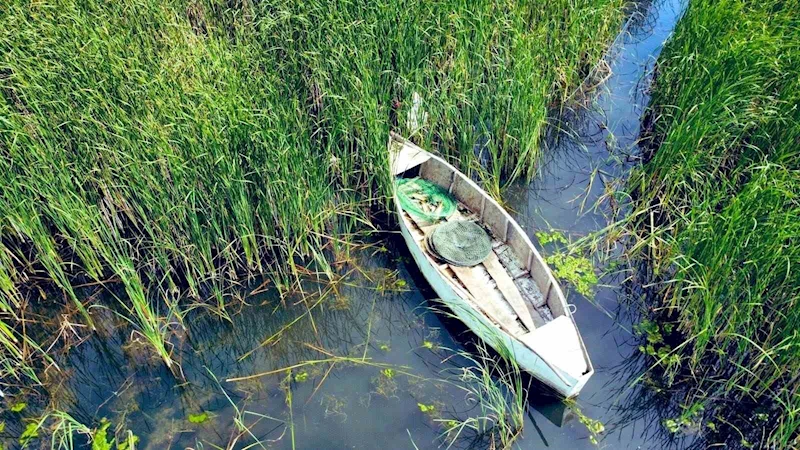 Usulsüz avcılara 67 bin lira ceza
