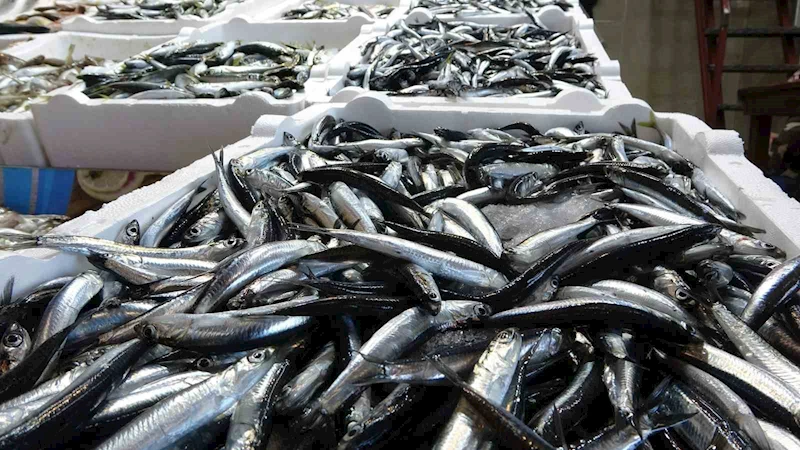 Karadeniz’de balık stokları azalıyor
