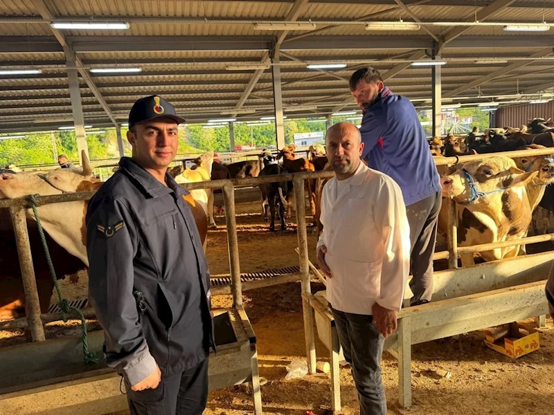 Kurban Bayramı öncesi hayvan pazarlarına denetim

