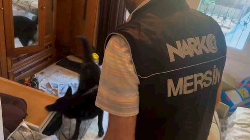Zehir taciri kilolarca uyuşturucu ve 375 bin TL ile yakalandı
