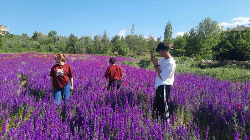 Konya Bozkır’da renk cümbüşü
