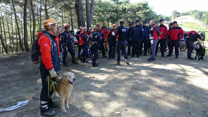Kayıp Çevre, Şehircilik ve İklim Değişikliği İl Müdür Yardımcısını arama çalışmaları 120 kişilik ekiple devam ediyor
