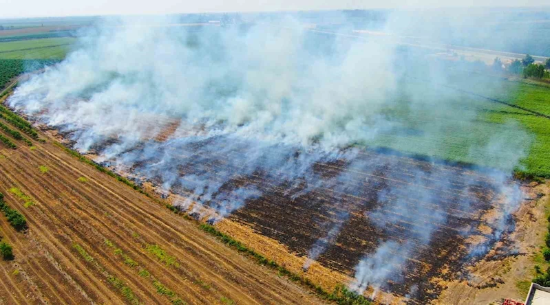 Aydınlı çiftçiler anız yakımına karşı uyarıldı
