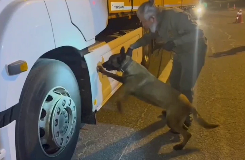 Tırdaki 5,5 kilogram uyuşturucuyu ’Viva’ buldu
