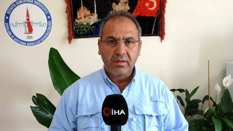 Prof. Dr. Hüseyin Şeyhanlıoğlu: 