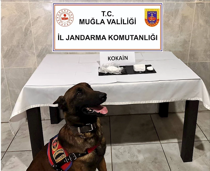 Yatağan’da yolcu otobüsünde 290 gram kokain yakalandı
