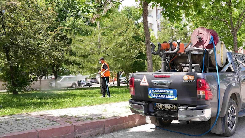 Elazığ’da ilaçlama çalışmaları sürüyor
