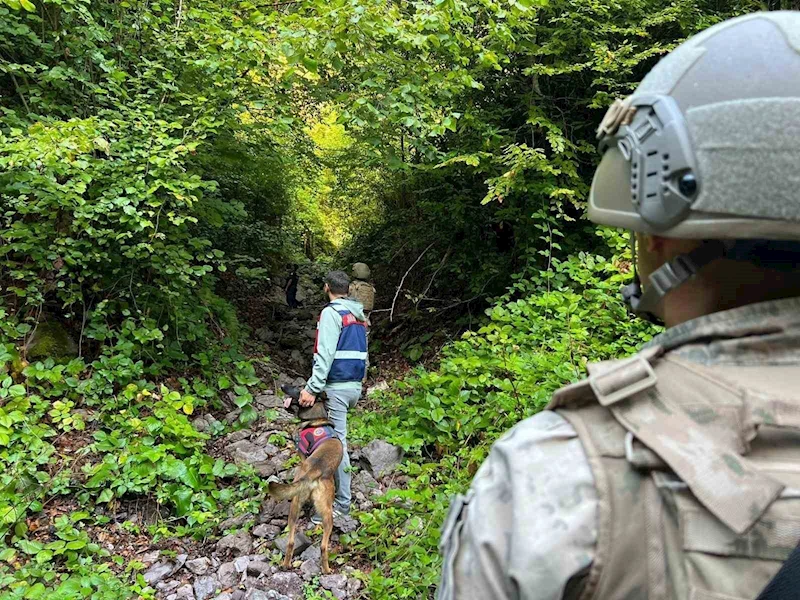 Komandolar yaylalarda didik didik arama yaptı
