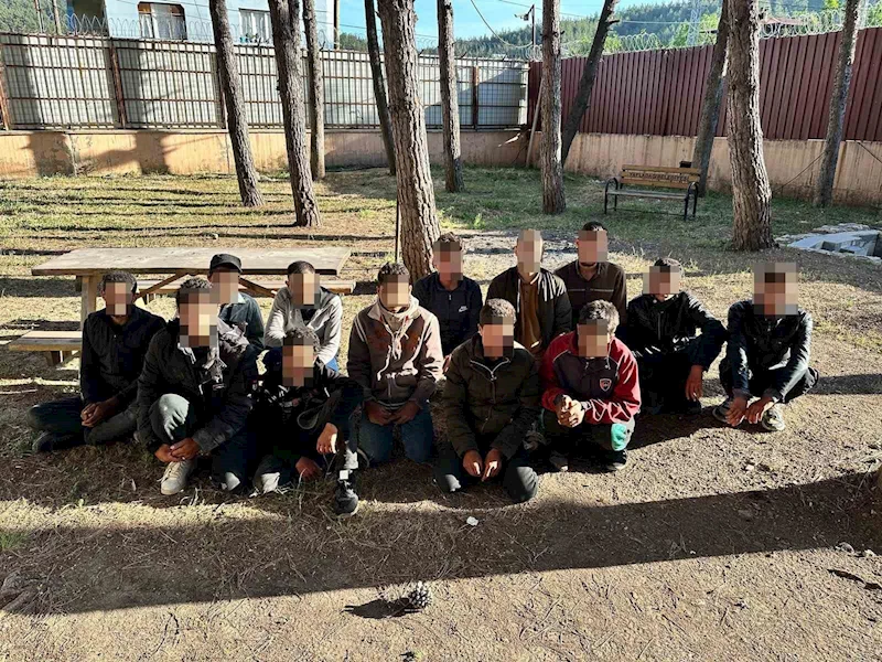 Hatay’da 65 kaçak göçmen yakalandı
