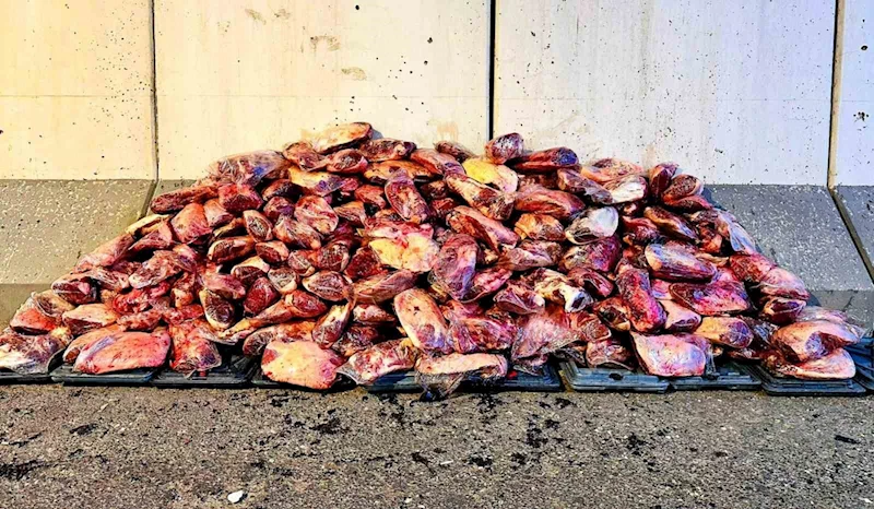 Jandarma 1 ton 700 kilo mühürsüz et ele geçirdi
