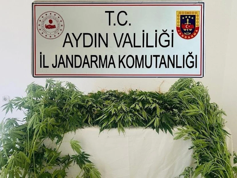 Jandarma ekipleri uyuşturucuya geçit vermedi
