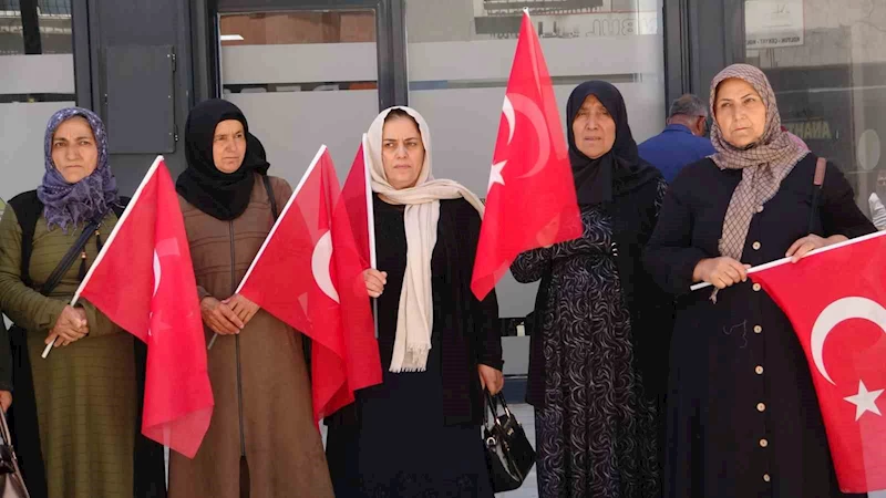 Vanlı aileler: 
