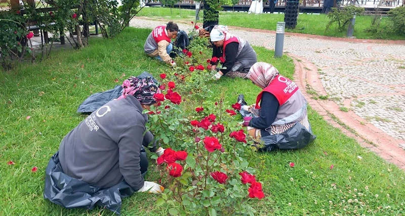 Ordu’nun dört bir yanı çiçek bahçesine dönüştürüldü
