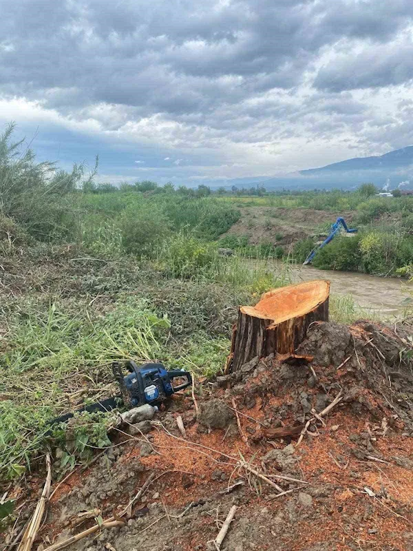 Kamuya ait alanda ağaç kesen şüpheliler yakalandı

