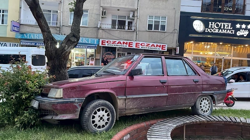 Park halindeyken haraket eden otomobil ağaraca çarparak durabildi
