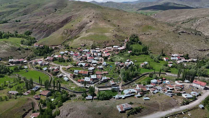 Türk ve Japon bilim adamları Sivas ve çevresinde ölümcül kenelerle ilgili bilimsel saha çalışması başlattı
