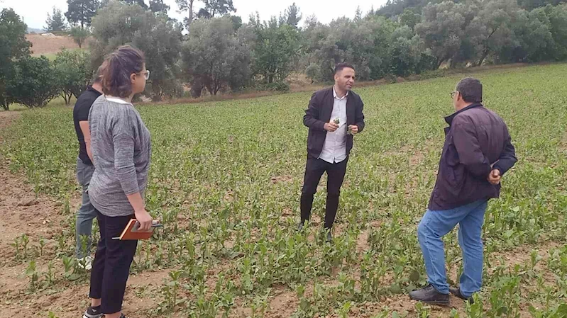 Büyükşehir’den dolu afetine karşı hızlı müdahale
