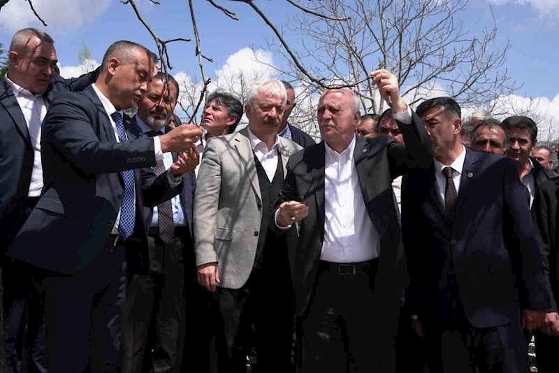 TZOB Başkanı Bayraktar, Kahramanmaraş’ta zirai dondan etkilenen bahçeleri inceledi

