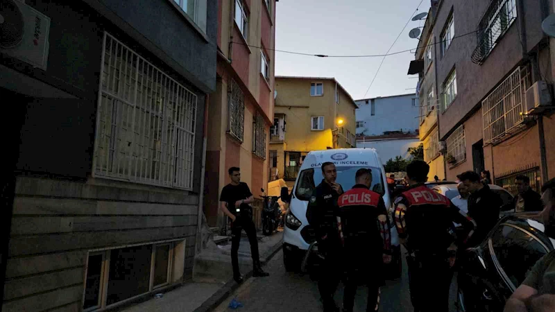 Kardeşini silahla öldürdükten sonra intihar etti
