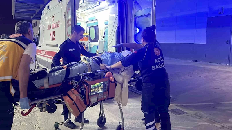 Ağaca çarpan otomobilin sürücüsü ağır yaralandı
