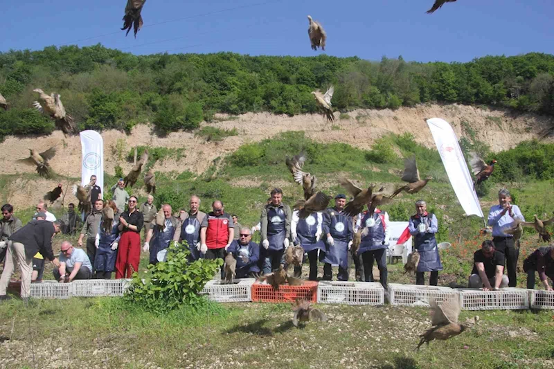 Ordu’da kokarcaya karşı sülün
