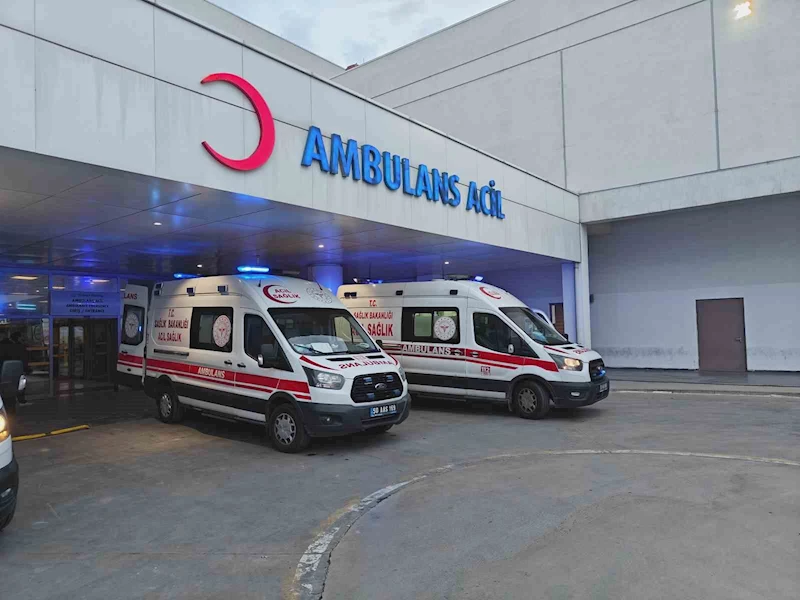 DEM Parti Van Milletvekili Dindar geçirdiği kazada yaralandı
