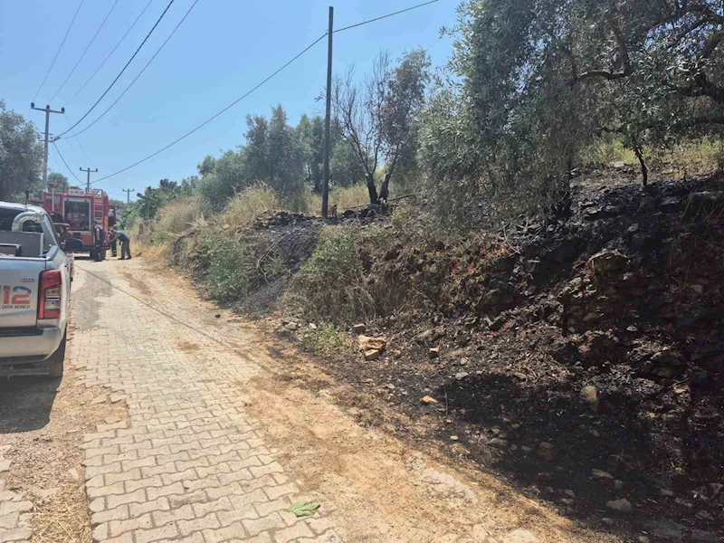 Ula’da yol kenarında çıkan yangın korkuttu

