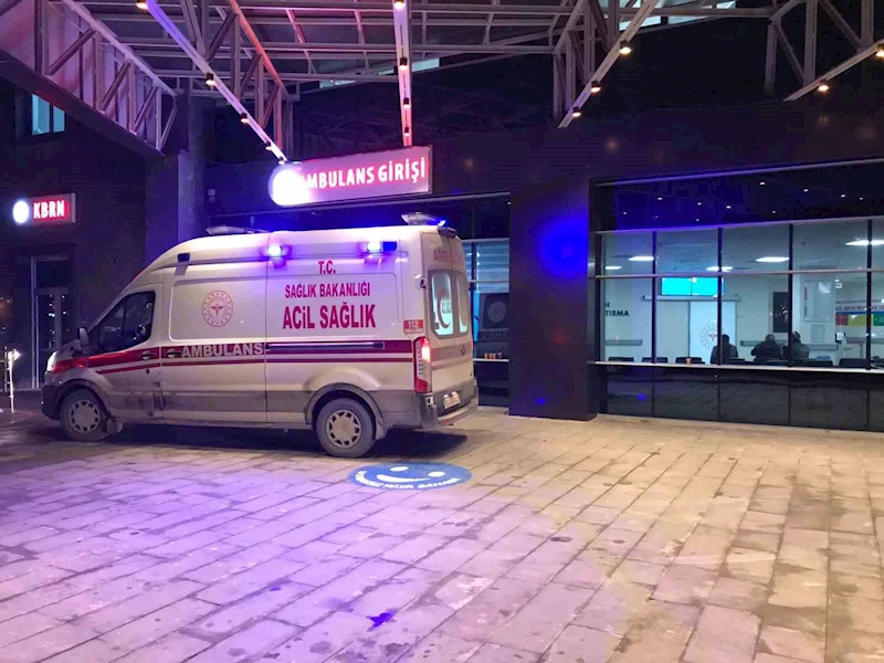 Bilecik’te 186 acemi kasap hastanelik oldu
