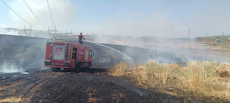 Siirt’te çıkan yangında ekili alanlar zarar gördü
