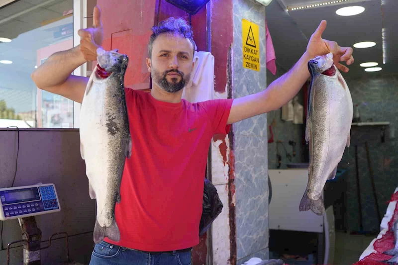 Somon en çok tercih edilen balık
