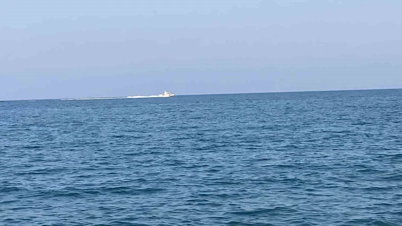Mersin’de köpekbalığı tedirginliği
