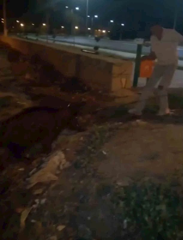 Iğdır’da yürüyüş yapan gençler, kanaldaki yaban domuzlarını kurtardı
