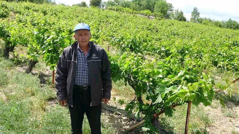 Zirai donun vurduğu tescilli 